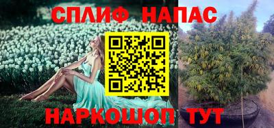 метадон Гай