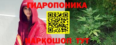 spice Гагарин