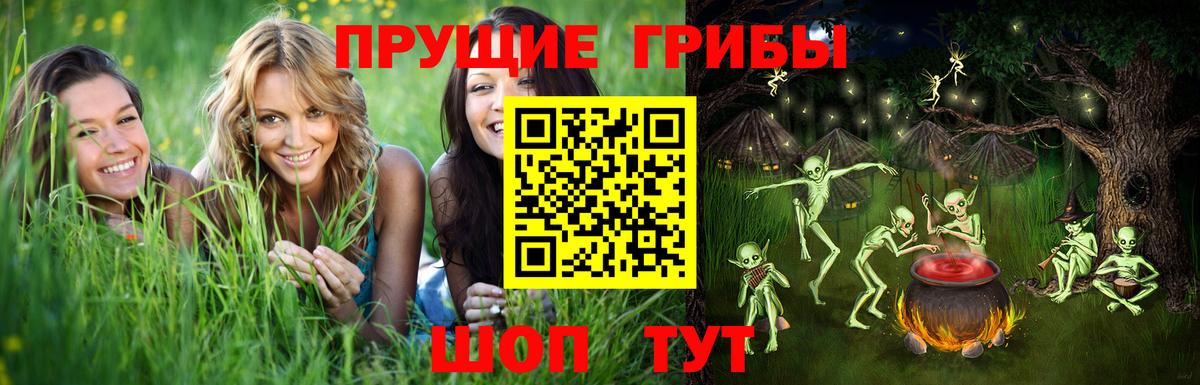 Псилоцибиновые грибы мухоморы  Вход с VPN  Мариинск 