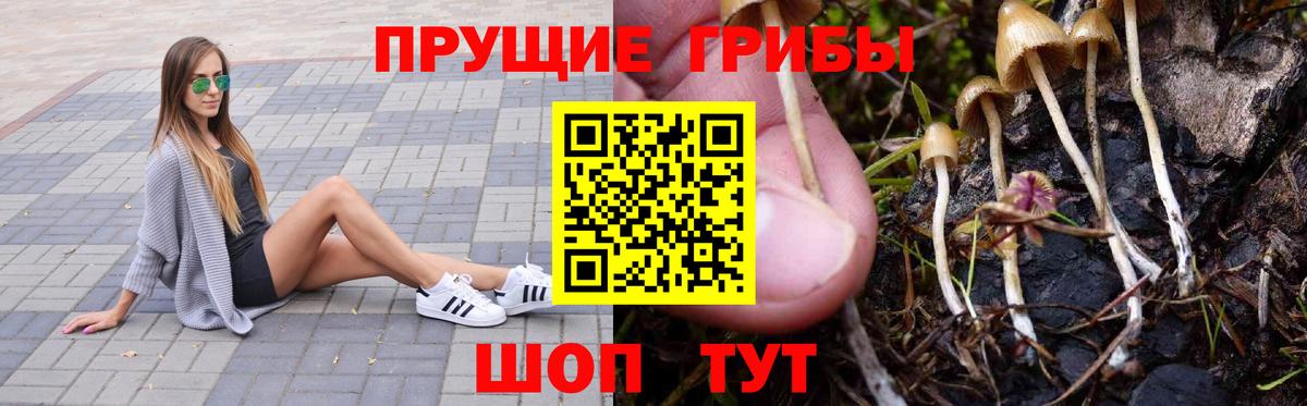 Галлюциногенные грибы MAGIC MUSHROOMS Мариинск